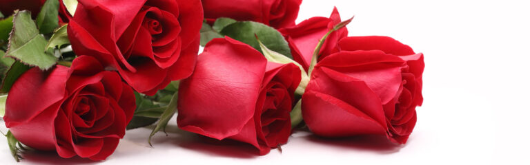 Sympathy flowers