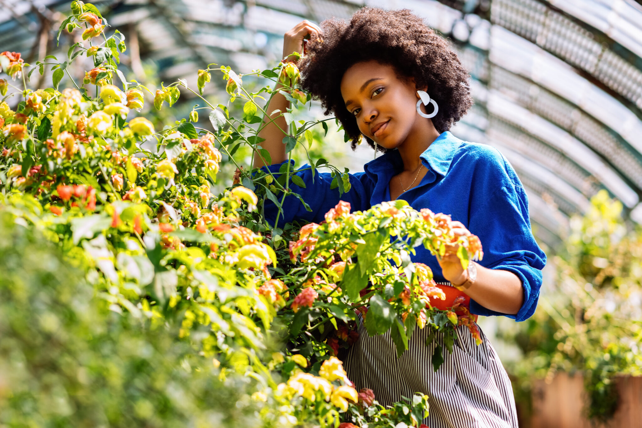 Kenyan grower in the garden